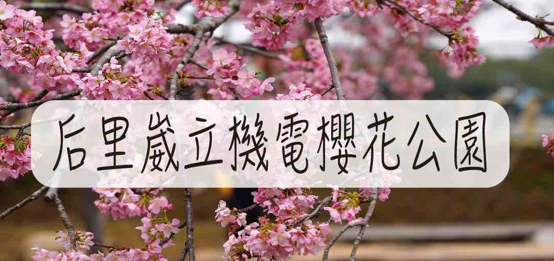 2021-welesakura-sakura