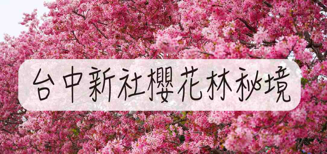 2021-xinshesakura