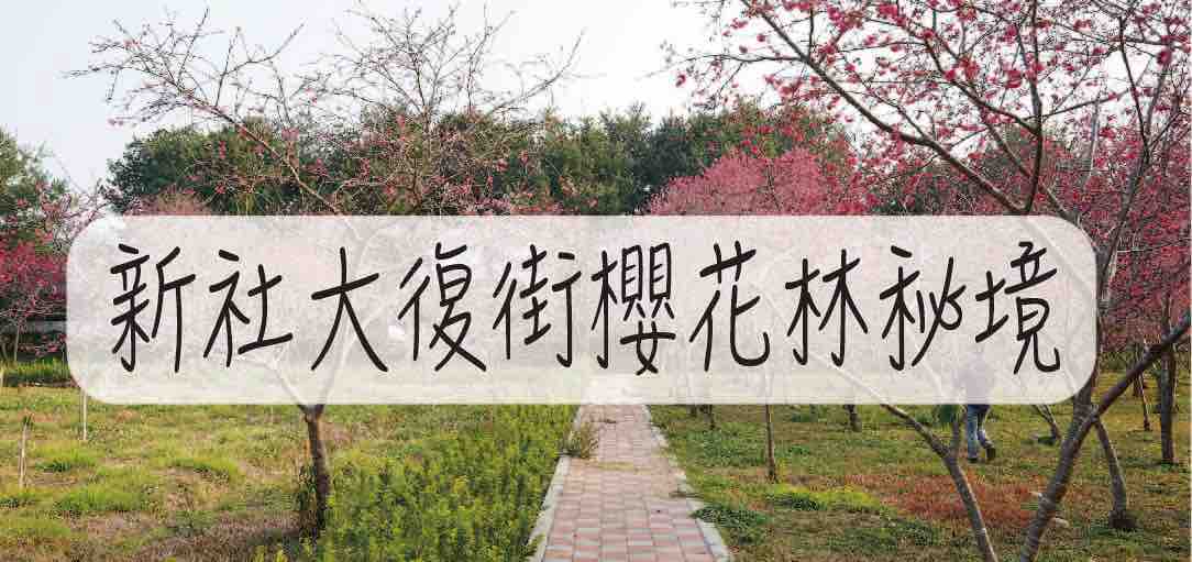 xinshe-dsc-blossoms