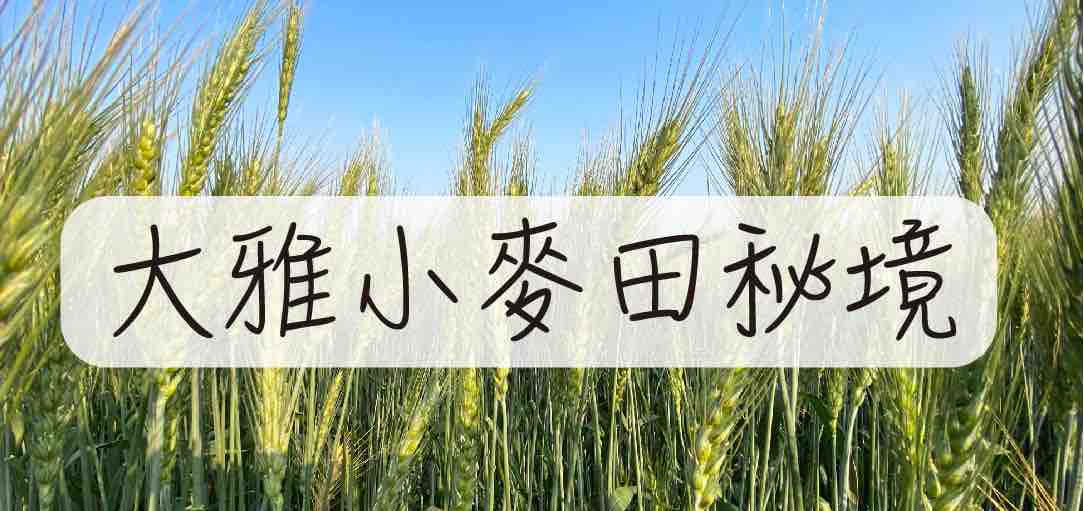 new-wheat