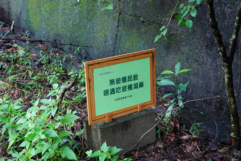 藤山步道,藤山步道評價,藤山步道 蛋黃酥,藤山步道 米香伯蛋黃酥,藤山步道 美食推薦,米香伯蛋黃酥-101米香