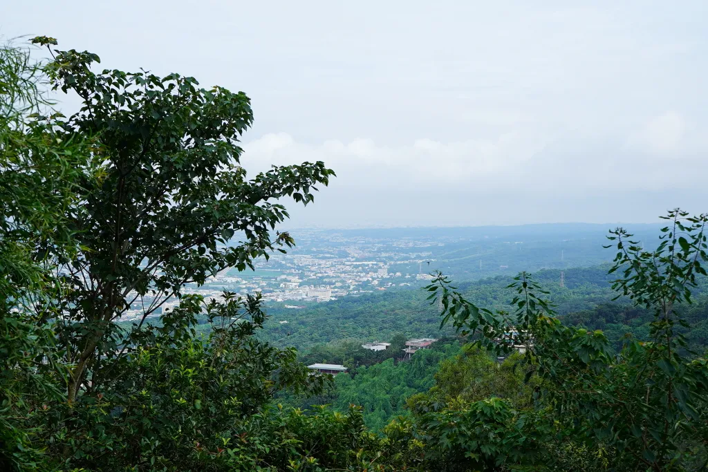 藤山步道,藤山步道評價,藤山步道 蛋黃酥,藤山步道 米香伯蛋黃酥,藤山步道 美食推薦,米香伯蛋黃酥-101米香 藤山步道,藤山步道評價,藤山步道 蛋黃酥,藤山步道 米香伯蛋黃酥,藤山步道 美食推薦,米香伯蛋黃酥-101米香