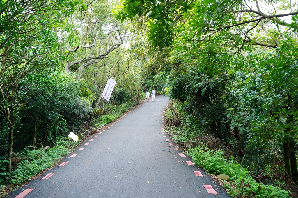 藤山步道,藤山步道評價,藤山步道 蛋黃酥,藤山步道 米香伯蛋黃酥,藤山步道 美食推薦,米香伯蛋黃酥-101米香 藤山步道,藤山步道評價,藤山步道 蛋黃酥,藤山步道 米香伯蛋黃酥,藤山步道 美食推薦,米香伯蛋黃酥-101米香