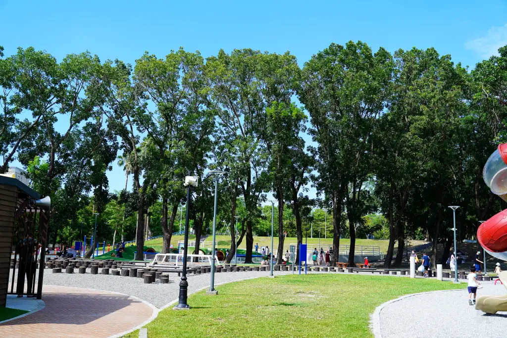 膨鼠森林公園, 雲林斗六膨鼠森林公園, 雲林親子景點, 斗六親子公園, 親子公園推薦,橡果溜滑梯, 噴泉廣場, 松鼠主題遊戲場, 金瓜鼠樂園, 膨鼠森林市集, 雲林旅遊推薦, 斗六旅遊, 週末親子活動, 戶外遊戲場, 玩水親子公園, 雲林親子遊,雲林斗六親子公園 膨鼠森林公園, 雲林親子景點推薦 橡果溜滑梯, 斗六膨鼠森林公園 松鼠主題遊戲場, 雲林最強親子公園 玩水橡果溜滑梯, 斗六親子遊景點 噴泉廣場 膨鼠森林市集,膨鼠森林公園 評價