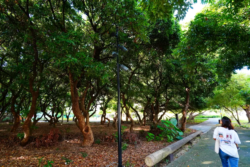 台中北屯兒童公園, 台中特色公園, 美樂地計畫, 台中親子遊推薦, 台中共融遊具, 無障礙設施公園, 攀爬隧道, 旋轉溜滑梯, 林間探索遊戲場, 台中親子景點, 台中親子戶外活動, 台中公園推薦, 台中兒童遊戲區, 台中親子共融遊樂場,荔枝老樹公園,興安路兒童公園 台中北屯兒童公園, 台中特色公園, 美樂地計畫, 台中親子遊推薦, 台中共融遊具, 無障礙設施公園, 攀爬隧道, 旋轉溜滑梯, 林間探索遊戲場, 台中親子景點, 台中親子戶外活動, 台中公園推薦, 台中兒童遊戲區, 台中親子共融遊樂場,荔枝老樹公園,興安路兒童公園