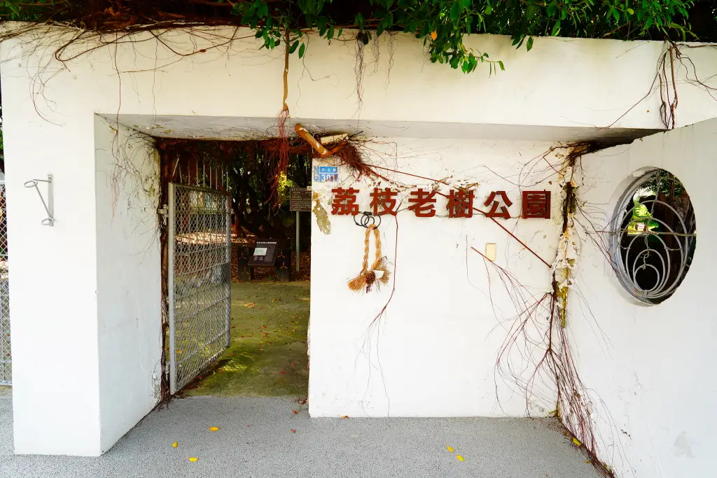 台中北屯兒童公園, 台中特色公園, 美樂地計畫, 台中親子遊推薦, 台中共融遊具, 無障礙設施公園, 攀爬隧道, 旋轉溜滑梯, 林間探索遊戲場, 台中親子景點, 台中親子戶外活動, 台中公園推薦, 台中兒童遊戲區, 台中親子共融遊樂場,荔枝老樹公園,興安路兒童公園 台中北屯兒童公園, 台中特色公園, 美樂地計畫, 台中親子遊推薦, 台中共融遊具, 無障礙設施公園, 攀爬隧道, 旋轉溜滑梯, 林間探索遊戲場, 台中親子景點, 台中親子戶外活動, 台中公園推薦, 台中兒童遊戲區, 台中親子共融遊樂場,荔枝老樹公園,興安路兒童公園