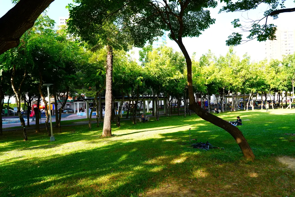 台中北屯兒童公園, 台中特色公園, 美樂地計畫, 台中親子遊推薦, 台中共融遊具, 無障礙設施公園, 攀爬隧道, 旋轉溜滑梯, 林間探索遊戲場, 台中親子景點, 台中親子戶外活動, 台中公園推薦, 台中兒童遊戲區, 台中親子共融遊樂場,荔枝老樹公園,興安路兒童公園 台中北屯兒童公園, 台中特色公園, 美樂地計畫, 台中親子遊推薦, 台中共融遊具, 無障礙設施公園, 攀爬隧道, 旋轉溜滑梯, 林間探索遊戲場, 台中親子景點, 台中親子戶外活動, 台中公園推薦, 台中兒童遊戲區, 台中親子共融遊樂場,荔枝老樹公園,興安路兒童公園
