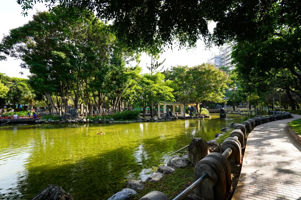 台中北屯兒童公園, 台中特色公園, 美樂地計畫, 台中親子遊推薦, 台中共融遊具, 無障礙設施公園, 攀爬隧道, 旋轉溜滑梯, 林間探索遊戲場, 台中親子景點, 台中親子戶外活動, 台中公園推薦, 台中兒童遊戲區, 台中親子共融遊樂場,荔枝老樹公園,興安路兒童公園 台中北屯兒童公園, 台中特色公園, 美樂地計畫, 台中親子遊推薦, 台中共融遊具, 無障礙設施公園, 攀爬隧道, 旋轉溜滑梯, 林間探索遊戲場, 台中親子景點, 台中親子戶外活動, 台中公園推薦, 台中兒童遊戲區, 台中親子共融遊樂場,荔枝老樹公園,興安路兒童公園