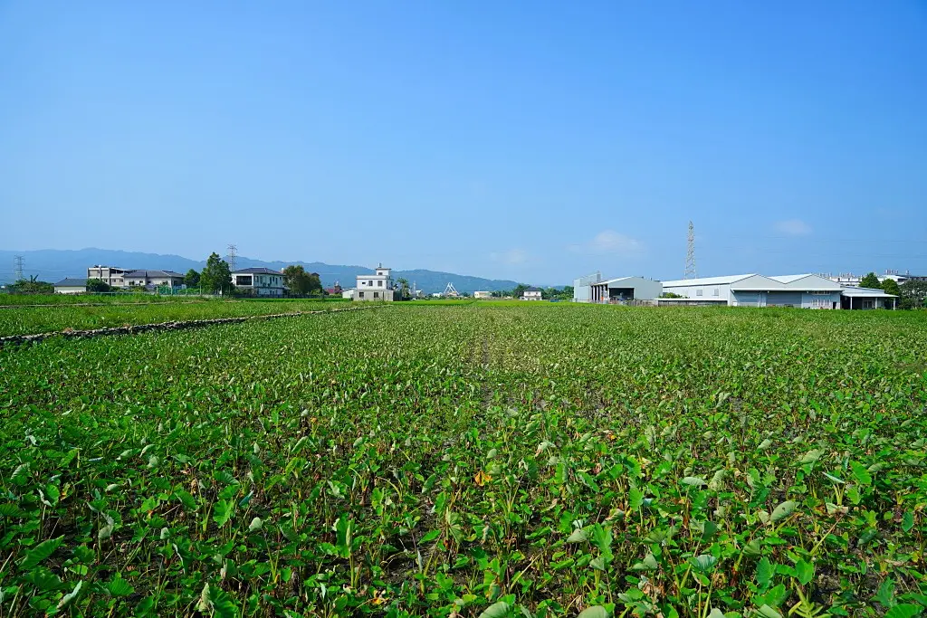 食農教育, 茅鄉亭, 客家文化, 在地食材, 自己買菜, 客家體驗, 農村生活,苗栗公館 食農教育, 茅鄉亭, 客家文化, 在地食材, 自己買菜, 客家體驗, 農村生活,苗栗公館