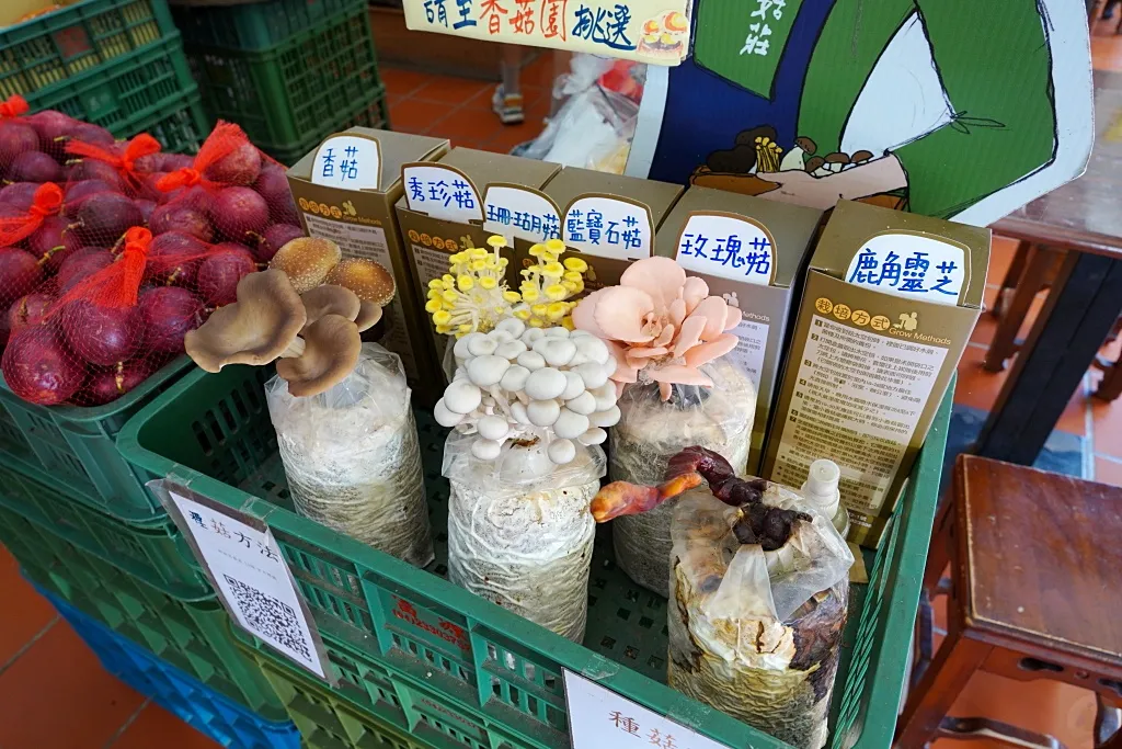 台中新社, 香菇, 百菇莊, 菇神, 香菇美食, 香菇湯, 炒香菇, 香菇燴飯, 食農教育, 香菇栽培, 新社餐廳, 價格親民, 新社旅遊, 新鮮香菇, 美味料理, 家庭聚餐, 朋友聚會, 招牌菜, 香菇料理, 體驗新社,新社百菇莊菜單