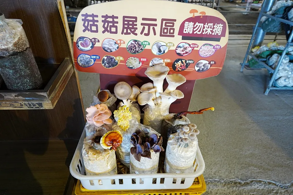 台中新社, 香菇, 百菇莊, 菇神, 香菇美食, 香菇湯, 炒香菇, 香菇燴飯, 食農教育, 香菇栽培, 新社餐廳, 價格親民, 新社旅遊, 新鮮香菇, 美味料理, 家庭聚餐, 朋友聚會, 招牌菜, 香菇料理, 體驗新社,新社百菇莊菜單