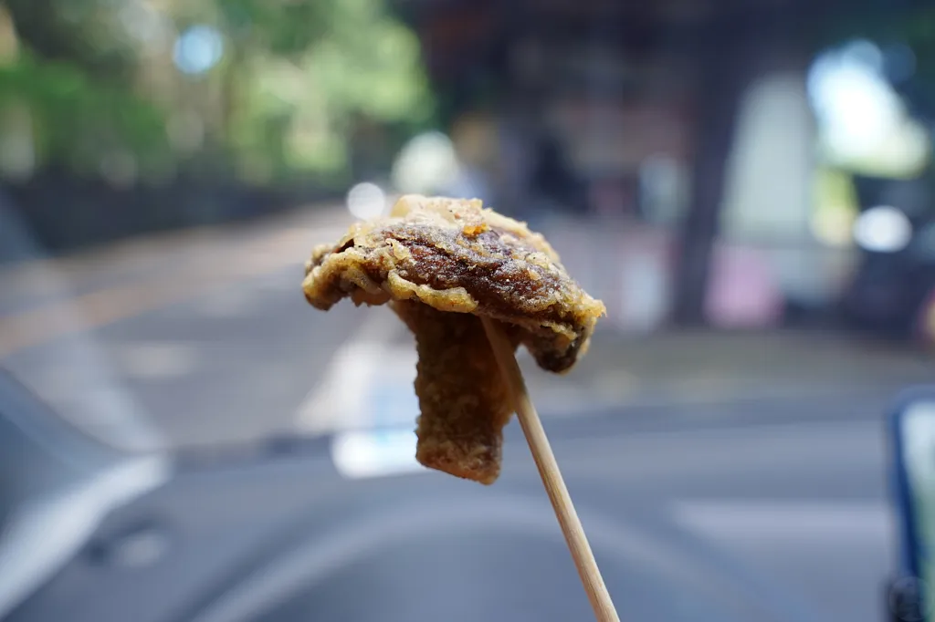 咬下去會爆汁的炸香菇特寫