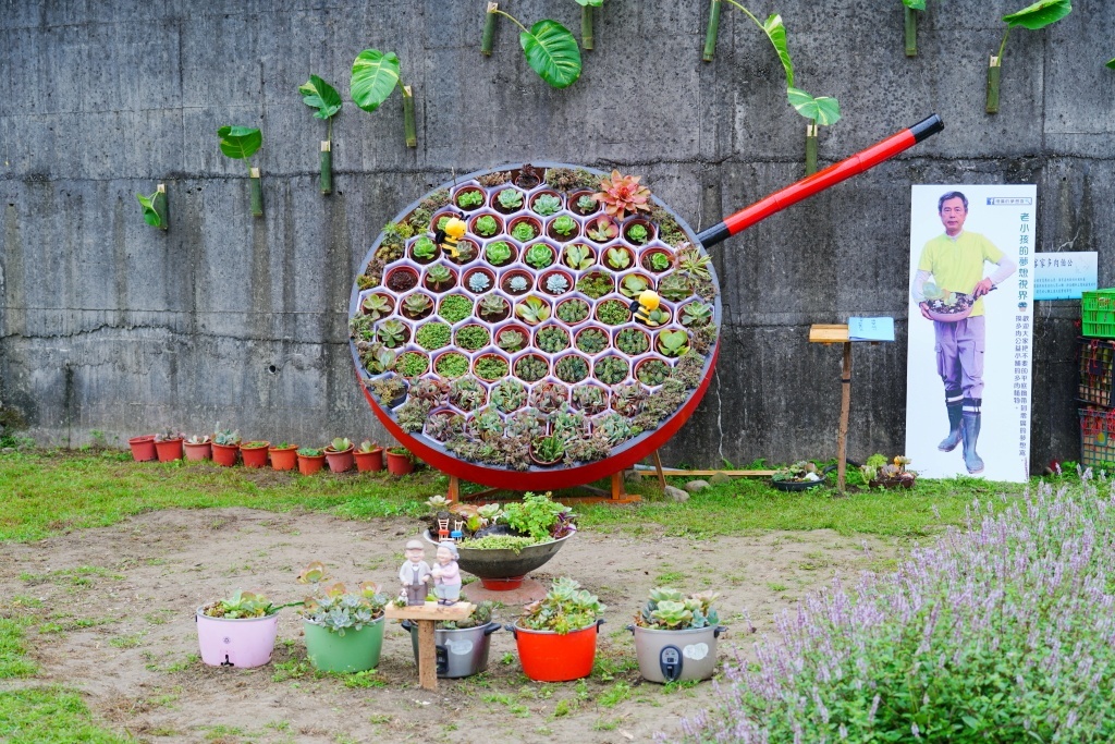 獅潭仙草花,獅潭仙草花節,獅潭仙草,苗栗仙草,苗栗仙草花節