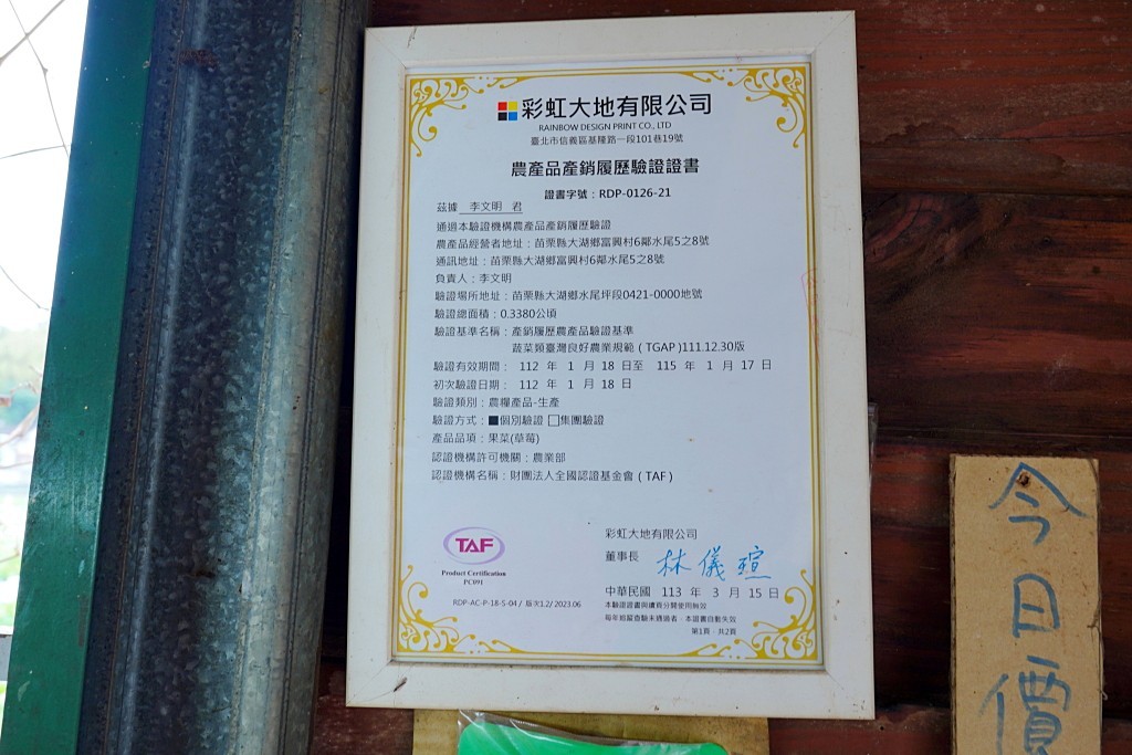 舞夜天高架草莓園,高架草莓,大湖草莓,五月天草莓,苗栗採草莓,苗栗採草莓推推薦,大湖草莓推薦 舞夜天高架草莓園,高架草莓,大湖草莓,五月天草莓,苗栗採草莓,苗栗採草莓推推薦,大湖草莓推薦