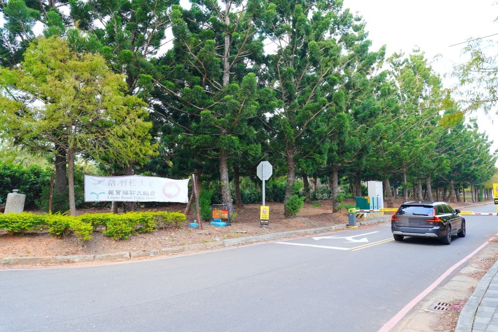 后里落羽松,台中落羽松,麗寶樂園落羽松,泰安落羽松,羽粼落羽松麗寶落羽松大道,台中落羽松大道,后里落羽松大道,麗寶落羽松大道的圖片,台中落羽松大,麗寶落羽松2024 后里落羽松,台中落羽松,麗寶樂園落羽松,泰安落羽松,羽粼落羽松麗寶落羽松大道,台中落羽松大道,后里落羽松大道,麗寶落羽松大道的圖片,台中落羽松大,麗寶落羽松2024