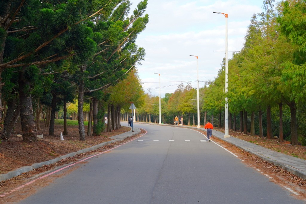 后里落羽松,台中落羽松,麗寶樂園落羽松,泰安落羽松,羽粼落羽松麗寶落羽松大道,台中落羽松大道,后里落羽松大道,麗寶落羽松大道的圖片,台中落羽松大,麗寶落羽松2024 后里落羽松,台中落羽松,麗寶樂園落羽松,泰安落羽松,羽粼落羽松麗寶落羽松大道,台中落羽松大道,后里落羽松大道,麗寶落羽松大道的圖片,台中落羽松大,麗寶落羽松2024