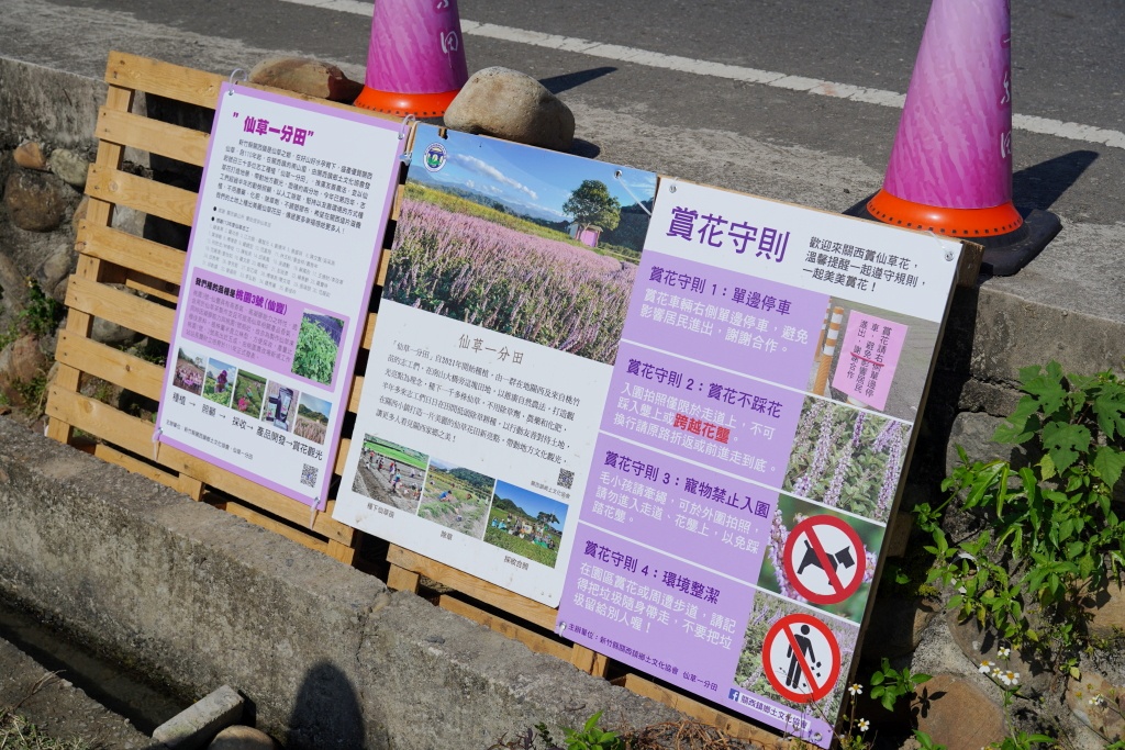 仙草一分田,新竹關西 秘境,新竹關西一日遊,新竹關西好玩,新竹關西旅遊,新竹關西景點,新竹關西景點推薦,新竹關西私房景點,新竹關西秘境,新竹關西附近景點,關西仙草花,關西仙草花季,關西仙草花田,關西仙草花節 仙草一分田,新竹關西 秘境,新竹關西一日遊,新竹關西好玩,新竹關西旅遊,新竹關西景點,新竹關西景點推薦,新竹關西私房景點,新竹關西秘境,新竹關西附近景點,關西仙草花,關西仙草花季,關西仙草花田,關西仙草花節