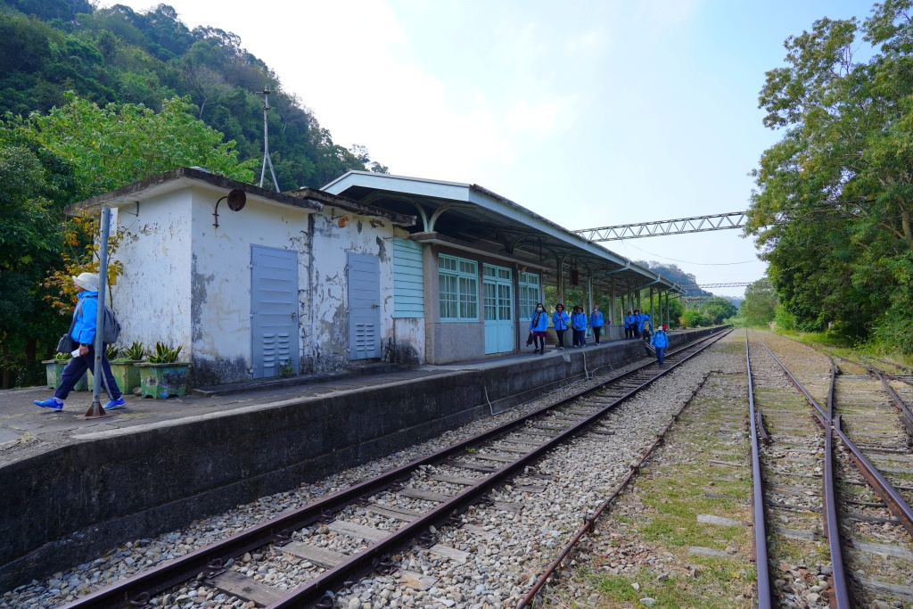 泰安鐵道文化園區,泰安車站,泰安火車站,台鐵舊山線,后里泰安車站,羽粼落羽松,泰安落羽松