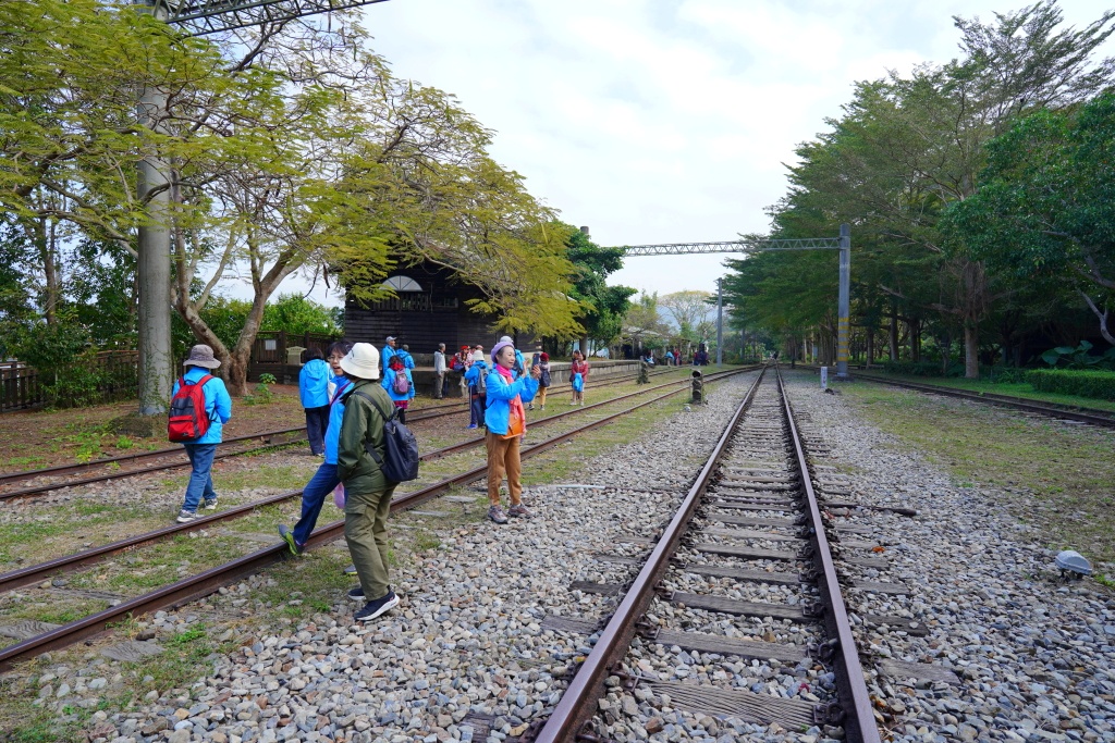 泰安鐵道文化園區,泰安車站,泰安火車站,台鐵舊山線,后里泰安車站,羽粼落羽松,泰安落羽松