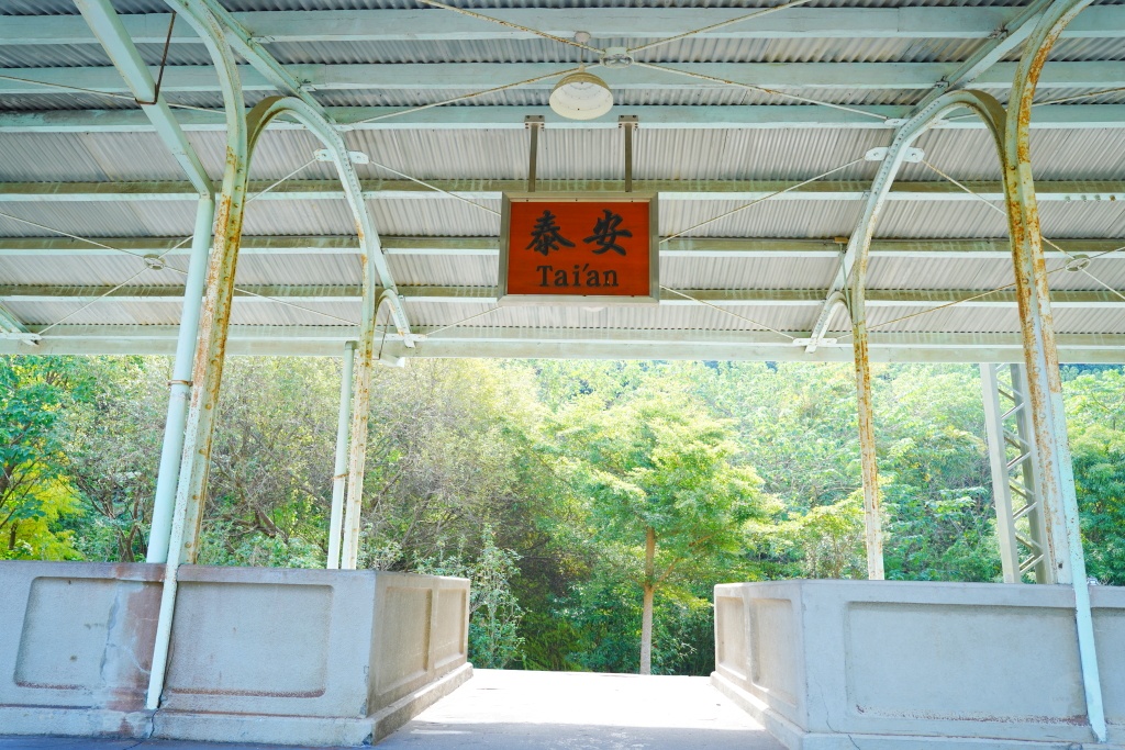 泰安鐵道文化園區,泰安車站,泰安火車站,台鐵舊山線,后里泰安車站,羽粼落羽松,泰安落羽松