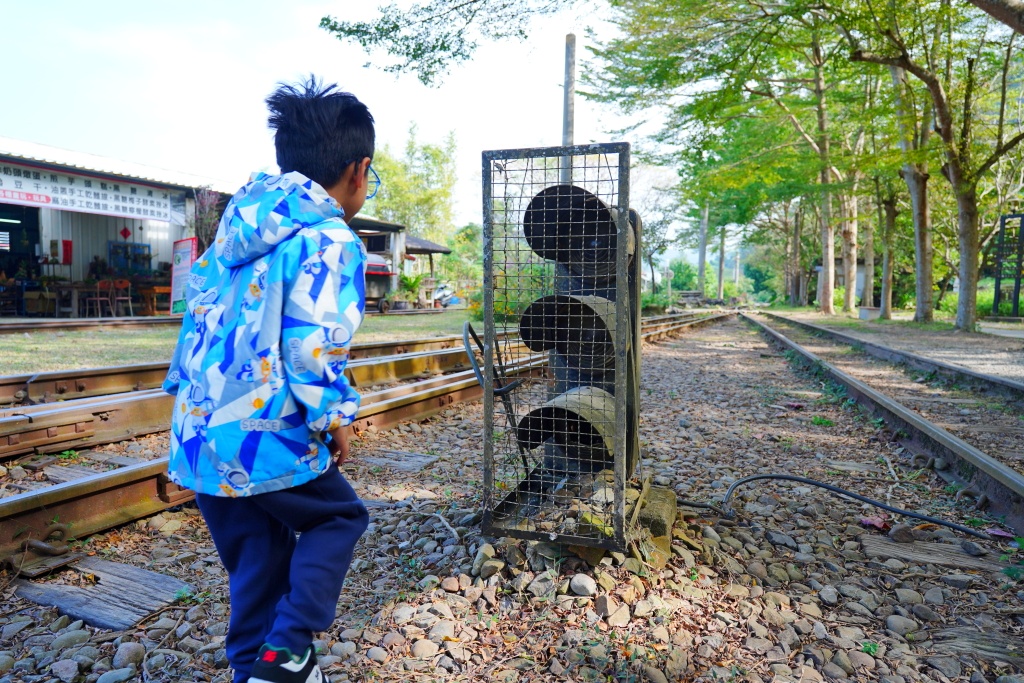 泰安鐵道文化園區,泰安車站,泰安火車站,台鐵舊山線,后里泰安車站,羽粼落羽松,泰安落羽松