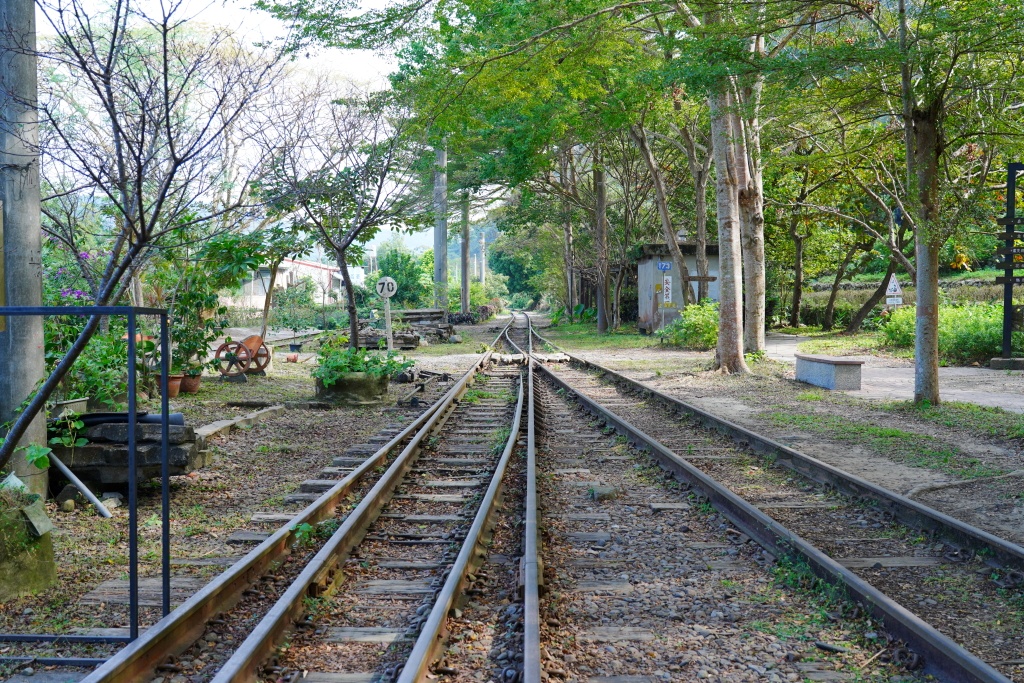 泰安鐵道文化園區,泰安車站,泰安火車站,台鐵舊山線,后里泰安車站,羽粼落羽松,泰安落羽松