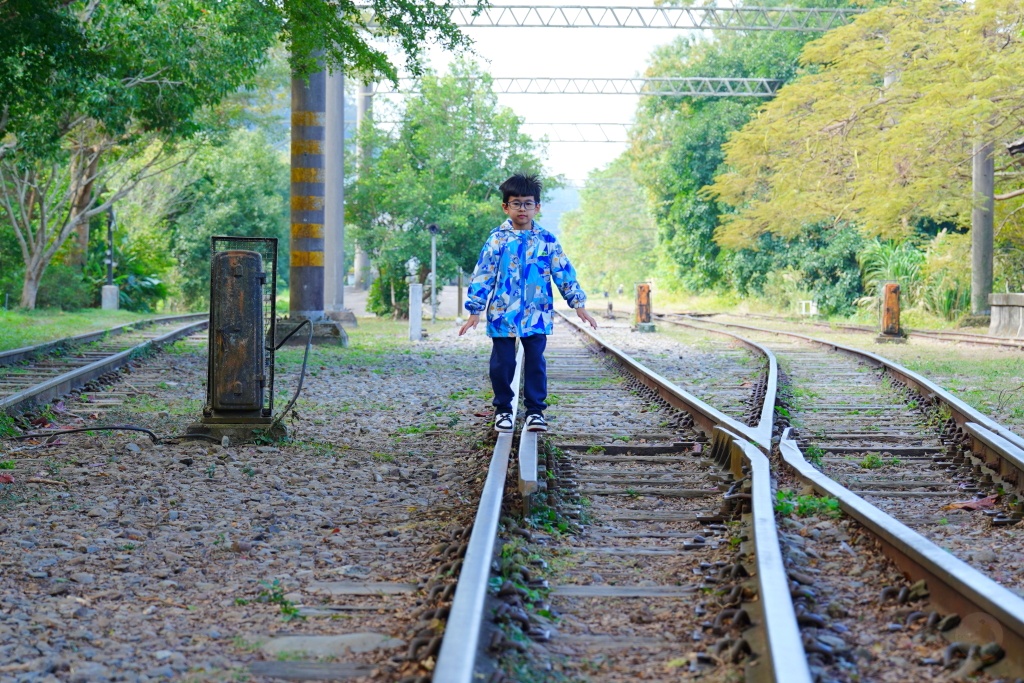 泰安鐵道文化園區,泰安車站,泰安火車站,台鐵舊山線,后里泰安車站,羽粼落羽松,泰安落羽松