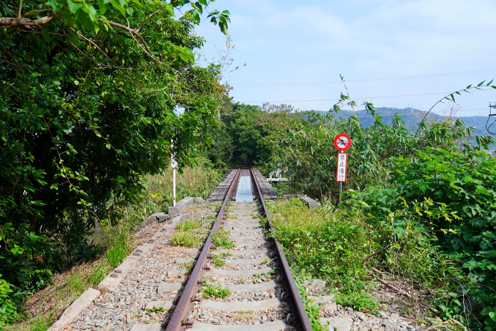 泰安鐵道文化園區,泰安車站,泰安火車站,台鐵舊山線,后里泰安車站,羽粼落羽松,泰安落羽松