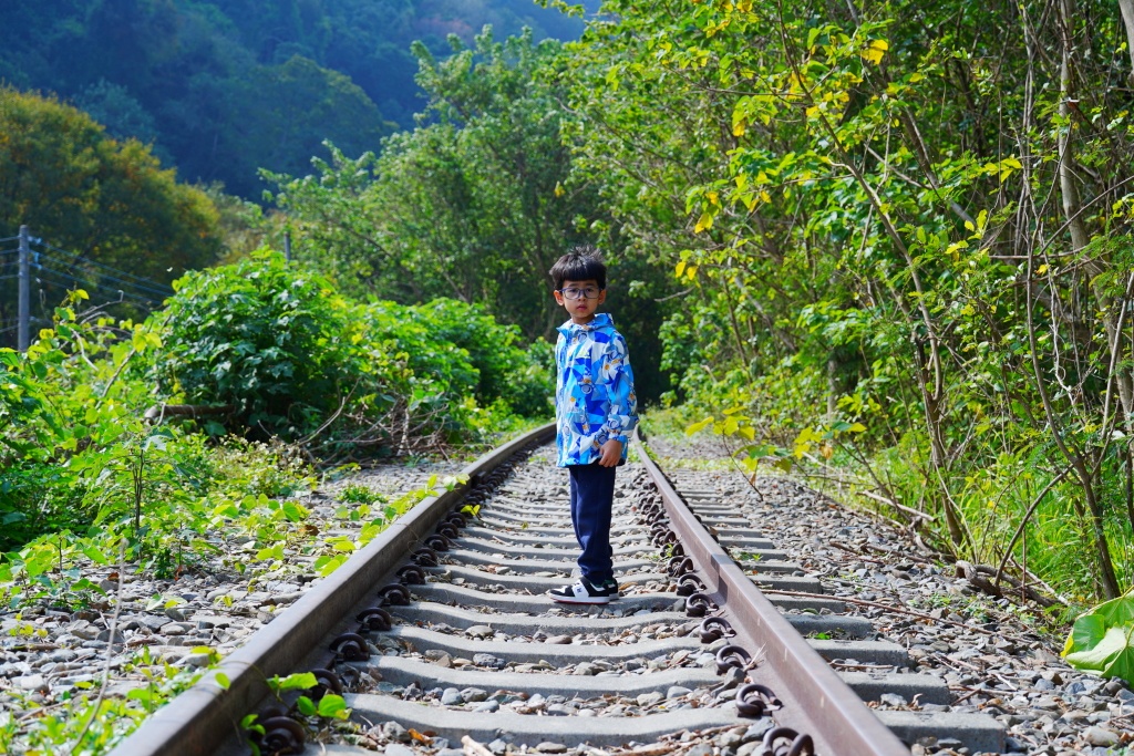 泰安鐵道文化園區,泰安車站,泰安火車站,台鐵舊山線,后里泰安車站,羽粼落羽松,泰安落羽松
