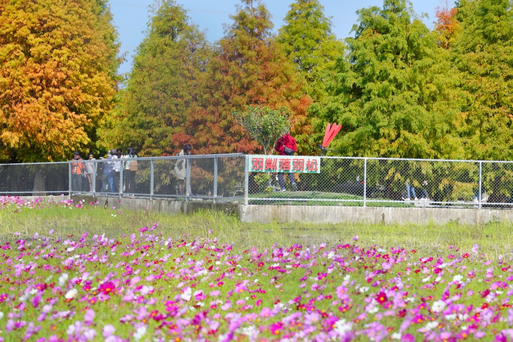 泰安落羽松,羽粼落羽松,后里落羽松,台中落羽松,后里泰安·羽粼落羽松,台中景點,台中景點,台中一日遊,台中親子景點,后里景點,台中約會景點,台中好好玩,台中情侶約會,台中落羽松秘境,台中泰安落羽松,后里泰安羽粼落羽松,后里泰安景點,泰安景點,台中泰安落羽松交通方式,台中泰安落羽松停車資訊,台中泰安落羽松門票,台中泰安落羽松環境,羽粼落羽松最新門票資訊,羽粼落羽松地景藝術,羽粼落羽松營業時間,羽粼落羽松季節限定,台中落羽松景點,2024泰安落羽松美景 泰安落羽松,羽粼落羽松,后里落羽松,台中落羽松,后里泰安·羽粼落羽松,台中景點,台中景點,台中一日遊,台中親子景點,后里景點,台中約會景點,台中好好玩,台中情侶約會,台中落羽松秘境,台中泰安落羽松,后里泰安羽粼落羽松,后里泰安景點,泰安景點,台中泰安落羽松交通方式,台中泰安落羽松停車資訊,台中泰安落羽松門票,台中泰安落羽松環境,羽粼落羽松最新門票資訊,羽粼落羽松地景藝術,羽粼落羽松營業時間,羽粼落羽松季節限定,台中落羽松景點,2024泰安落羽松美景
