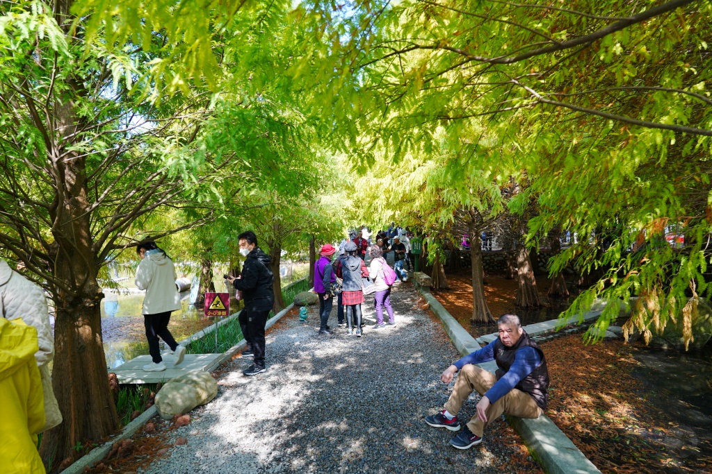 泰安落羽松,羽粼落羽松,后里落羽松,台中落羽松,后里泰安·羽粼落羽松,台中景點,台中景點,台中一日遊,台中親子景點,后里景點,台中約會景點,台中好好玩,台中情侶約會,台中落羽松秘境,台中泰安落羽松,后里泰安羽粼落羽松,后里泰安景點,泰安景點,台中泰安落羽松交通方式,台中泰安落羽松停車資訊,台中泰安落羽松門票,台中泰安落羽松環境,羽粼落羽松最新門票資訊,羽粼落羽松地景藝術,羽粼落羽松營業時間,羽粼落羽松季節限定,台中落羽松景點,2024泰安落羽松美景 泰安落羽松,羽粼落羽松,后里落羽松,台中落羽松,后里泰安·羽粼落羽松,台中景點,台中景點,台中一日遊,台中親子景點,后里景點,台中約會景點,台中好好玩,台中情侶約會,台中落羽松秘境,台中泰安落羽松,后里泰安羽粼落羽松,后里泰安景點,泰安景點,台中泰安落羽松交通方式,台中泰安落羽松停車資訊,台中泰安落羽松門票,台中泰安落羽松環境,羽粼落羽松最新門票資訊,羽粼落羽松地景藝術,羽粼落羽松營業時間,羽粼落羽松季節限定,台中落羽松景點,2024泰安落羽松美景
