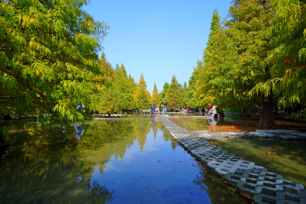 泰安落羽松,羽粼落羽松,后里落羽松,台中落羽松,后里泰安·羽粼落羽松,台中景點,台中景點,台中一日遊,台中親子景點,后里景點,台中約會景點,台中好好玩,台中情侶約會,台中落羽松秘境,台中泰安落羽松,后里泰安羽粼落羽松,后里泰安景點,泰安景點,台中泰安落羽松交通方式,台中泰安落羽松停車資訊,台中泰安落羽松門票,台中泰安落羽松環境,羽粼落羽松最新門票資訊,羽粼落羽松地景藝術,羽粼落羽松營業時間,羽粼落羽松季節限定,台中落羽松景點,2024泰安落羽松美景 泰安落羽松,羽粼落羽松,后里落羽松,台中落羽松,后里泰安·羽粼落羽松,台中景點,台中景點,台中一日遊,台中親子景點,后里景點,台中約會景點,台中好好玩,台中情侶約會,台中落羽松秘境,台中泰安落羽松,后里泰安羽粼落羽松,后里泰安景點,泰安景點,台中泰安落羽松交通方式,台中泰安落羽松停車資訊,台中泰安落羽松門票,台中泰安落羽松環境,羽粼落羽松最新門票資訊,羽粼落羽松地景藝術,羽粼落羽松營業時間,羽粼落羽松季節限定,台中落羽松景點,2024泰安落羽松美景