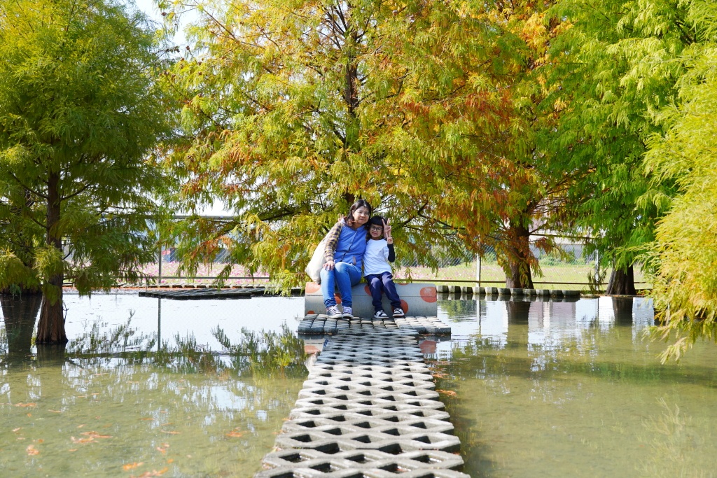 泰安落羽松,羽粼落羽松,后里落羽松,台中落羽松,后里泰安·羽粼落羽松,台中景點,台中景點,台中一日遊,台中親子景點,后里景點,台中約會景點,台中好好玩,台中情侶約會,台中落羽松秘境,台中泰安落羽松,后里泰安羽粼落羽松,后里泰安景點,泰安景點,台中泰安落羽松交通方式,台中泰安落羽松停車資訊,台中泰安落羽松門票,台中泰安落羽松環境,羽粼落羽松最新門票資訊,羽粼落羽松地景藝術,羽粼落羽松營業時間,羽粼落羽松季節限定,台中落羽松景點,2024泰安落羽松美景 泰安落羽松,羽粼落羽松,后里落羽松,台中落羽松,后里泰安·羽粼落羽松,台中景點,台中景點,台中一日遊,台中親子景點,后里景點,台中約會景點,台中好好玩,台中情侶約會,台中落羽松秘境,台中泰安落羽松,后里泰安羽粼落羽松,后里泰安景點,泰安景點,台中泰安落羽松交通方式,台中泰安落羽松停車資訊,台中泰安落羽松門票,台中泰安落羽松環境,羽粼落羽松最新門票資訊,羽粼落羽松地景藝術,羽粼落羽松營業時間,羽粼落羽松季節限定,台中落羽松景點,2024泰安落羽松美景