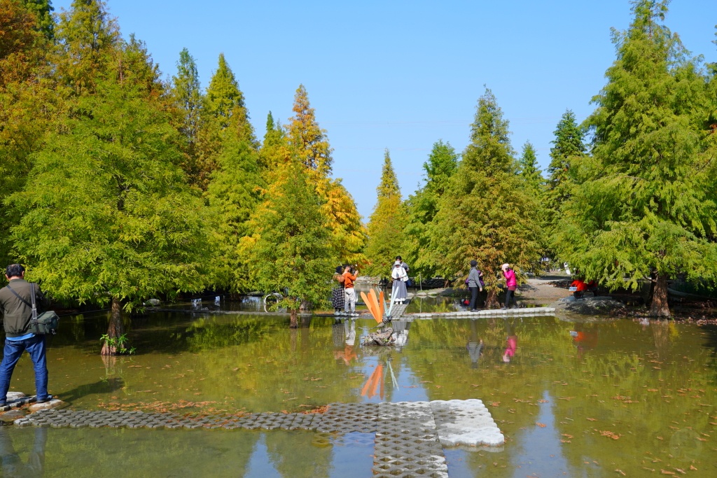 泰安落羽松,羽粼落羽松,后里落羽松,台中落羽松,后里泰安·羽粼落羽松,台中景點,台中景點,台中一日遊,台中親子景點,后里景點,台中約會景點,台中好好玩,台中情侶約會,台中落羽松秘境,台中泰安落羽松,后里泰安羽粼落羽松,后里泰安景點,泰安景點,台中泰安落羽松交通方式,台中泰安落羽松停車資訊,台中泰安落羽松門票,台中泰安落羽松環境,羽粼落羽松最新門票資訊,羽粼落羽松地景藝術,羽粼落羽松營業時間,羽粼落羽松季節限定,台中落羽松景點,2024泰安落羽松美景 泰安落羽松,羽粼落羽松,后里落羽松,台中落羽松,后里泰安·羽粼落羽松,台中景點,台中景點,台中一日遊,台中親子景點,后里景點,台中約會景點,台中好好玩,台中情侶約會,台中落羽松秘境,台中泰安落羽松,后里泰安羽粼落羽松,后里泰安景點,泰安景點,台中泰安落羽松交通方式,台中泰安落羽松停車資訊,台中泰安落羽松門票,台中泰安落羽松環境,羽粼落羽松最新門票資訊,羽粼落羽松地景藝術,羽粼落羽松營業時間,羽粼落羽松季節限定,台中落羽松景點,2024泰安落羽松美景