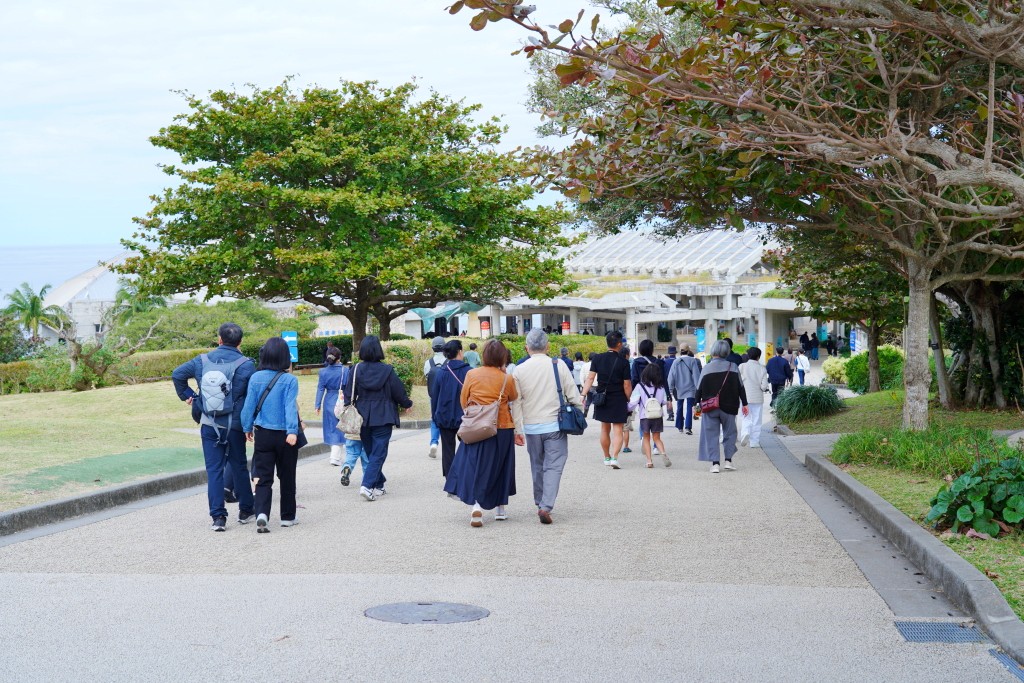 沖繩水族館,沖繩美麗海水族館,kkday沖繩美麗海水族館,雄獅沖繩美麗海水族館,沖繩美麗海水族館門票,沖繩美麗海水族館票價,沖繩推薦行程,沖繩必訪景點