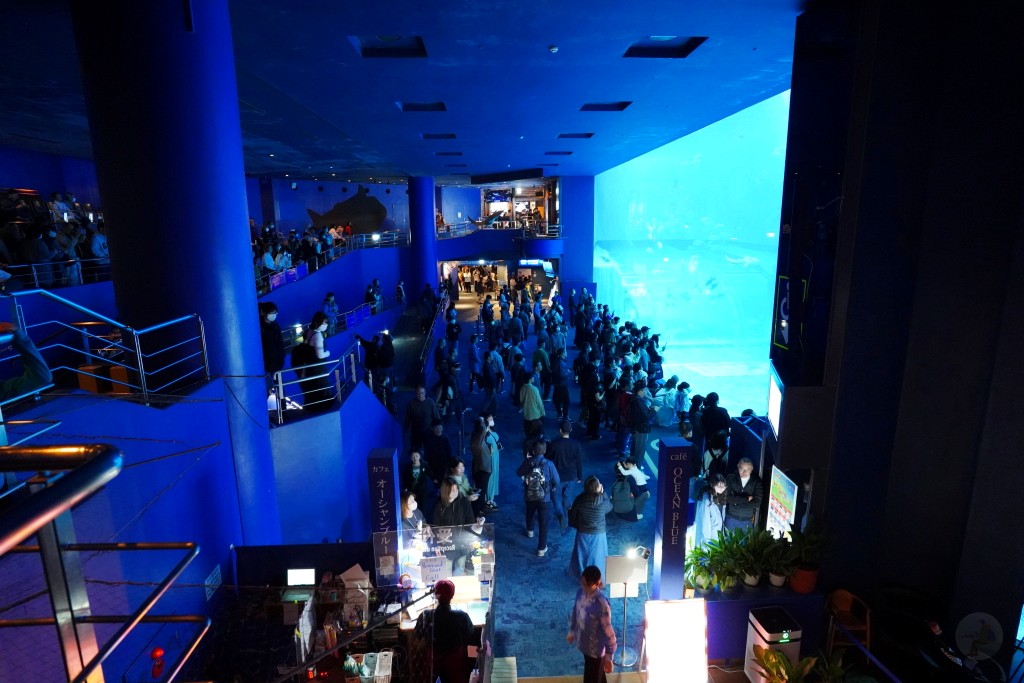 沖繩水族館,沖繩美麗海水族館,kkday沖繩美麗海水族館,雄獅沖繩美麗海水族館,沖繩美麗海水族館門票,沖繩美麗海水族館票價,沖繩推薦行程,沖繩必訪景點