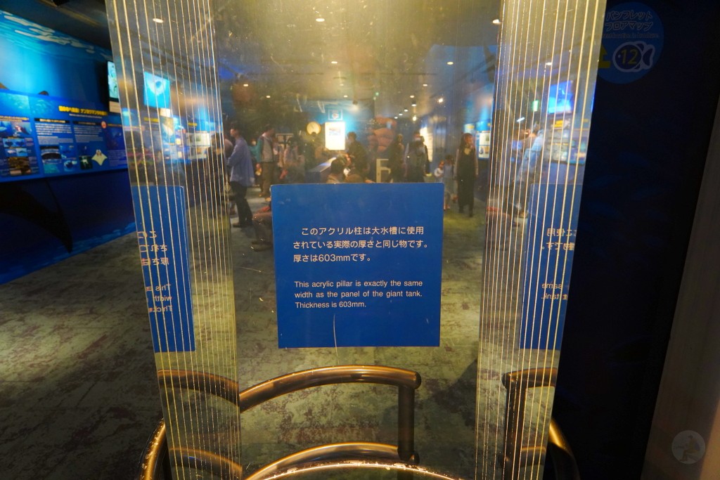 沖繩水族館,沖繩美麗海水族館,kkday沖繩美麗海水族館,雄獅沖繩美麗海水族館,沖繩美麗海水族館門票,沖繩美麗海水族館票價,沖繩推薦行程,沖繩必訪景點