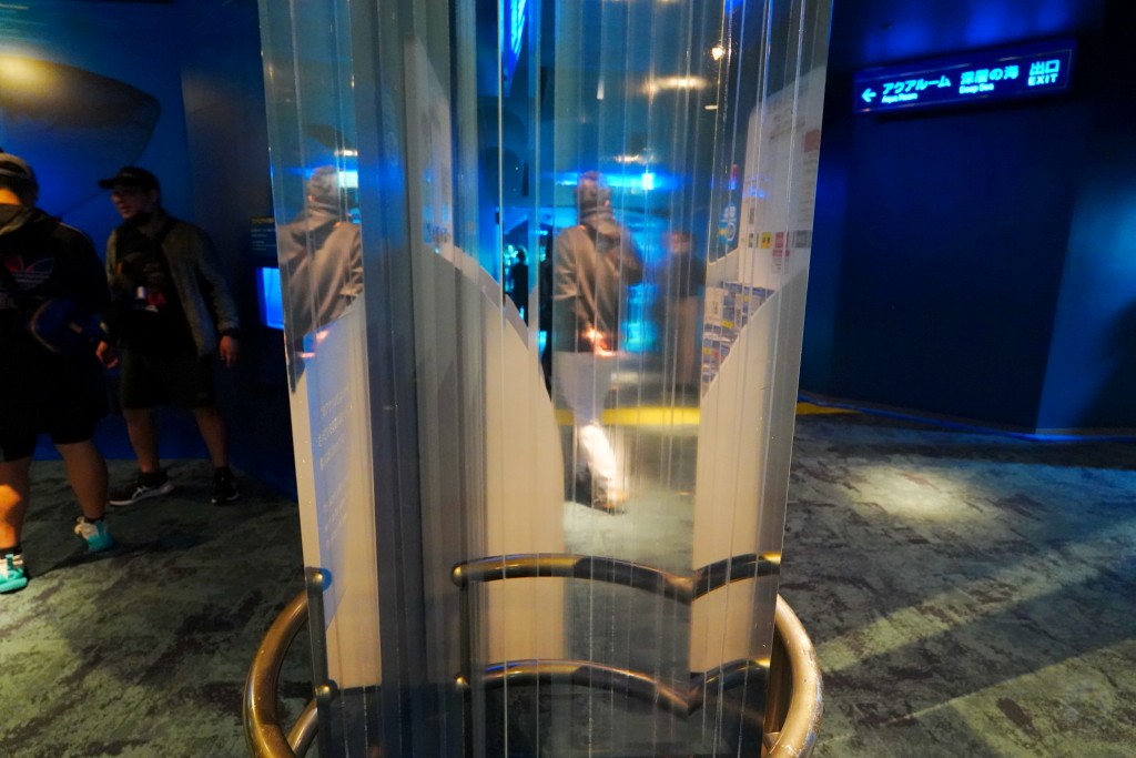 沖繩水族館,沖繩美麗海水族館,kkday沖繩美麗海水族館,雄獅沖繩美麗海水族館,沖繩美麗海水族館門票,沖繩美麗海水族館票價,沖繩推薦行程,沖繩必訪景點
