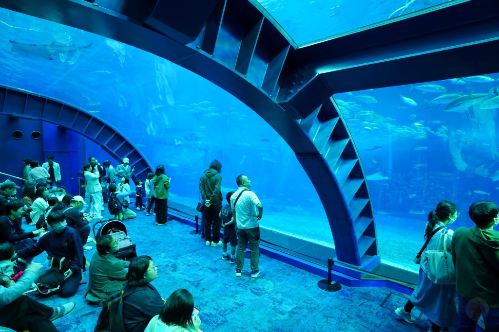 沖繩水族館,沖繩美麗海水族館,kkday沖繩美麗海水族館,雄獅沖繩美麗海水族館,沖繩美麗海水族館門票,沖繩美麗海水族館票價,沖繩推薦行程,沖繩必訪景點