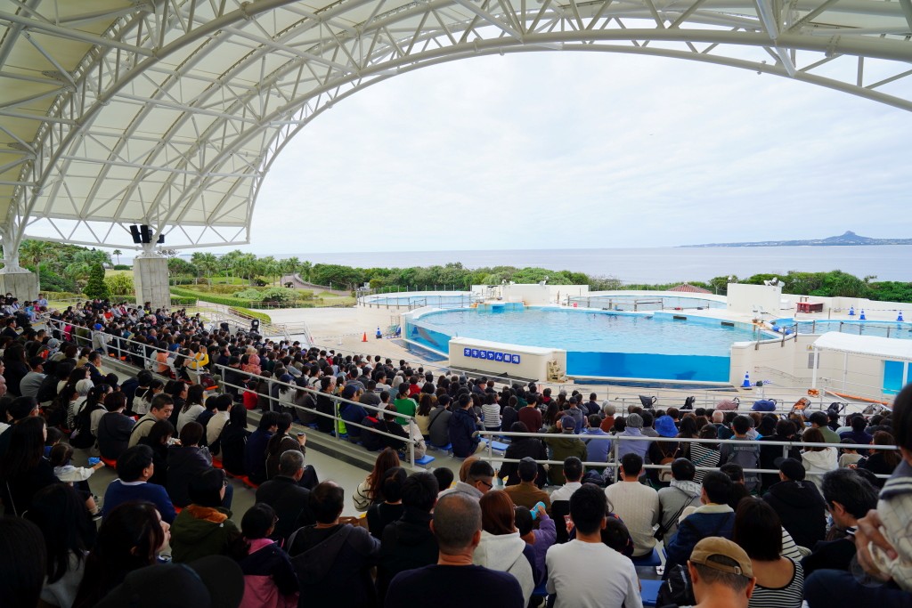 沖繩水族館,沖繩美麗海水族館,kkday沖繩美麗海水族館,雄獅沖繩美麗海水族館,沖繩美麗海水族館門票,沖繩美麗海水族館票價,沖繩推薦行程,沖繩必訪景點