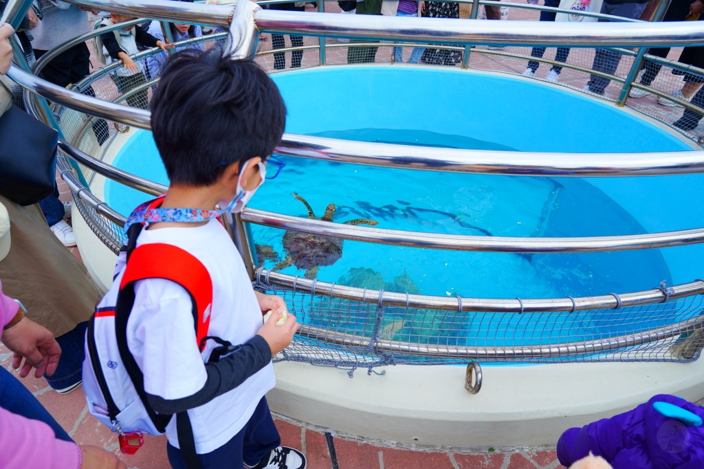 沖繩水族館,沖繩美麗海水族館,kkday沖繩美麗海水族館,雄獅沖繩美麗海水族館,沖繩美麗海水族館門票,沖繩美麗海水族館票價,沖繩推薦行程,沖繩必訪景點