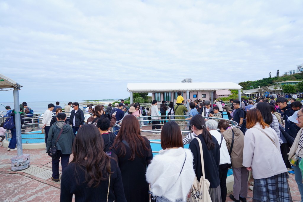 沖繩水族館,沖繩美麗海水族館,kkday沖繩美麗海水族館,雄獅沖繩美麗海水族館,沖繩美麗海水族館門票,沖繩美麗海水族館票價,沖繩推薦行程,沖繩必訪景點