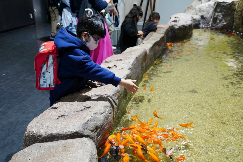 DMM Kariyushi 水族館,DMM Kariyushi,沖繩自由行,DMM Kariyushi 水族館,沖繩新景點,親子景點推薦,沖繩水族館,室內景點,雨天備案,購物中心推薦,免費停車,沖繩旅遊攻略,DMM Kariyushi 水族館評價 DMM Kariyushi 水族館,DMM Kariyushi,沖繩自由行,DMM Kariyushi 水族館,沖繩新景點,親子景點推薦,沖繩水族館,室內景點,雨天備案,購物中心推薦,免費停車,沖繩旅遊攻略,DMM Kariyushi 水族館評價