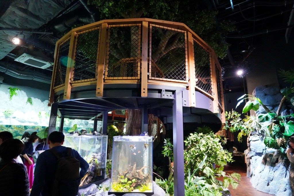 DMM Kariyushi 水族館,DMM Kariyushi,沖繩自由行,DMM Kariyushi 水族館,沖繩新景點,親子景點推薦,沖繩水族館,室內景點,雨天備案,購物中心推薦,免費停車,沖繩旅遊攻略,DMM Kariyushi 水族館評價 DMM Kariyushi 水族館,DMM Kariyushi,沖繩自由行,DMM Kariyushi 水族館,沖繩新景點,親子景點推薦,沖繩水族館,室內景點,雨天備案,購物中心推薦,免費停車,沖繩旅遊攻略,DMM Kariyushi 水族館評價
