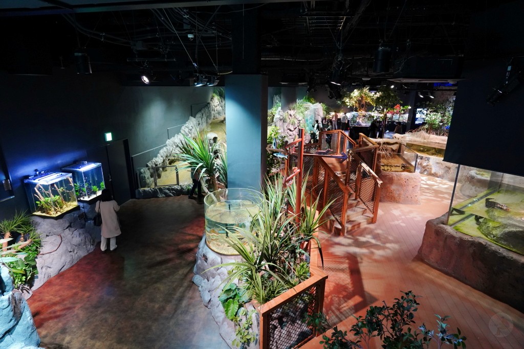 DMM Kariyushi 水族館,DMM Kariyushi,沖繩自由行,DMM Kariyushi 水族館,沖繩新景點,親子景點推薦,沖繩水族館,室內景點,雨天備案,購物中心推薦,免費停車,沖繩旅遊攻略,DMM Kariyushi 水族館評價 DMM Kariyushi 水族館,DMM Kariyushi,沖繩自由行,DMM Kariyushi 水族館,沖繩新景點,親子景點推薦,沖繩水族館,室內景點,雨天備案,購物中心推薦,免費停車,沖繩旅遊攻略,DMM Kariyushi 水族館評價