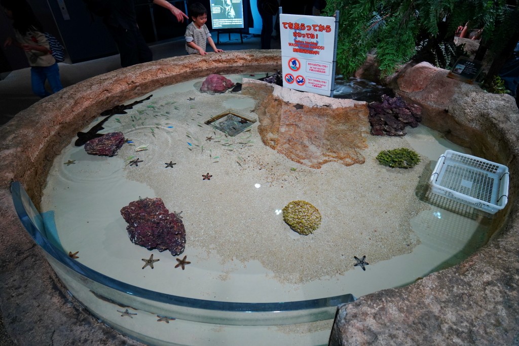 DMM Kariyushi 水族館,DMM Kariyushi,沖繩自由行,DMM Kariyushi 水族館,沖繩新景點,親子景點推薦,沖繩水族館,室內景點,雨天備案,購物中心推薦,免費停車,沖繩旅遊攻略,DMM Kariyushi 水族館評價 DMM Kariyushi 水族館,DMM Kariyushi,沖繩自由行,DMM Kariyushi 水族館,沖繩新景點,親子景點推薦,沖繩水族館,室內景點,雨天備案,購物中心推薦,免費停車,沖繩旅遊攻略,DMM Kariyushi 水族館評價