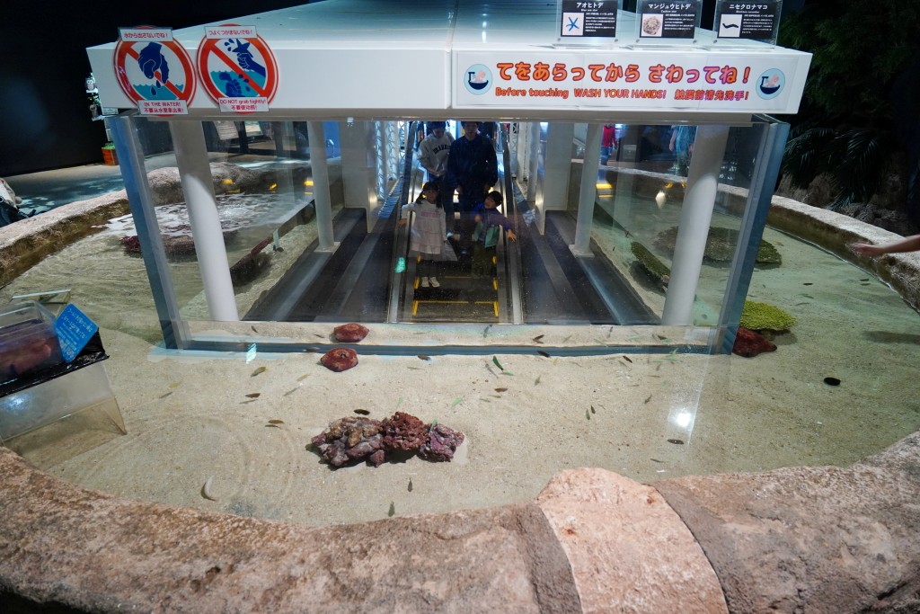 DMM Kariyushi 水族館,DMM Kariyushi,沖繩自由行,DMM Kariyushi 水族館,沖繩新景點,親子景點推薦,沖繩水族館,室內景點,雨天備案,購物中心推薦,免費停車,沖繩旅遊攻略,DMM Kariyushi 水族館評價 DMM Kariyushi 水族館,DMM Kariyushi,沖繩自由行,DMM Kariyushi 水族館,沖繩新景點,親子景點推薦,沖繩水族館,室內景點,雨天備案,購物中心推薦,免費停車,沖繩旅遊攻略,DMM Kariyushi 水族館評價