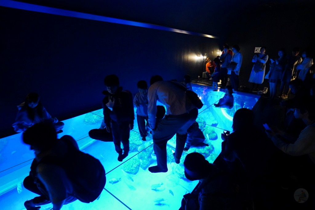 DMM Kariyushi 水族館,DMM Kariyushi,沖繩自由行,DMM Kariyushi 水族館,沖繩新景點,親子景點推薦,沖繩水族館,室內景點,雨天備案,購物中心推薦,免費停車,沖繩旅遊攻略,DMM Kariyushi 水族館評價 DMM Kariyushi 水族館,DMM Kariyushi,沖繩自由行,DMM Kariyushi 水族館,沖繩新景點,親子景點推薦,沖繩水族館,室內景點,雨天備案,購物中心推薦,免費停車,沖繩旅遊攻略,DMM Kariyushi 水族館評價