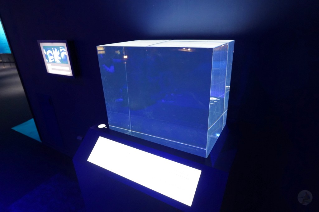 DMM Kariyushi 水族館,DMM Kariyushi,沖繩自由行,DMM Kariyushi 水族館,沖繩新景點,親子景點推薦,沖繩水族館,室內景點,雨天備案,購物中心推薦,免費停車,沖繩旅遊攻略,DMM Kariyushi 水族館評價 DMM Kariyushi 水族館,DMM Kariyushi,沖繩自由行,DMM Kariyushi 水族館,沖繩新景點,親子景點推薦,沖繩水族館,室內景點,雨天備案,購物中心推薦,免費停車,沖繩旅遊攻略,DMM Kariyushi 水族館評價