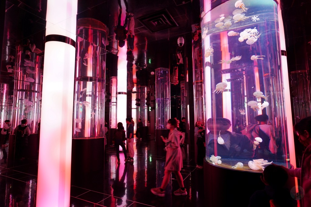 DMM Kariyushi 水族館,DMM Kariyushi,沖繩自由行,DMM Kariyushi 水族館,沖繩新景點,親子景點推薦,沖繩水族館,室內景點,雨天備案,購物中心推薦,免費停車,沖繩旅遊攻略,DMM Kariyushi 水族館評價 DMM Kariyushi 水族館,DMM Kariyushi,沖繩自由行,DMM Kariyushi 水族館,沖繩新景點,親子景點推薦,沖繩水族館,室內景點,雨天備案,購物中心推薦,免費停車,沖繩旅遊攻略,DMM Kariyushi 水族館評價